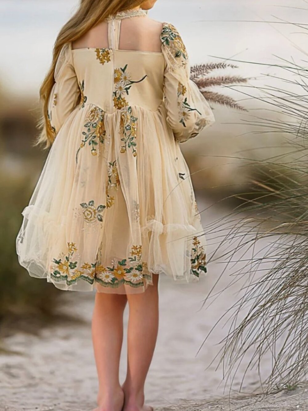 Flower Embroidered Lace Dress